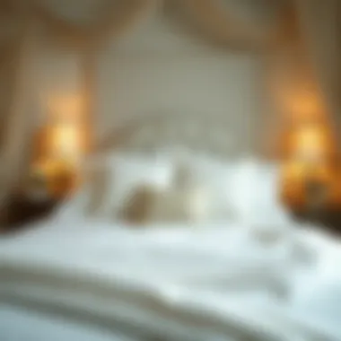 Magnificent The Intersection of Bedskirts and Pillow Shams: Enhancing Bedroom Aesthetics