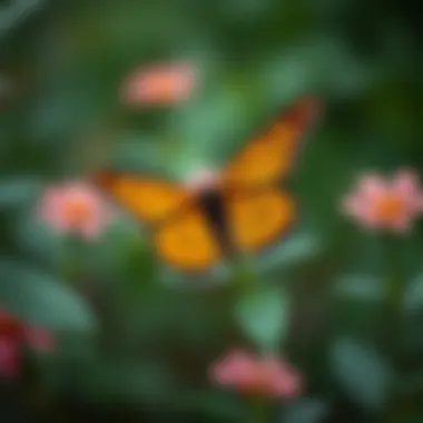 Artistic Representation of Butterflies and Nature Artistic representation of nature and butterflies