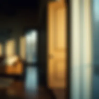 Benefits of using under door noise stoppers in various settings