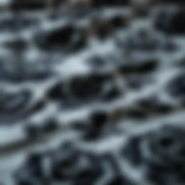 Close-up of intricate black rose patterns on comforter fabric