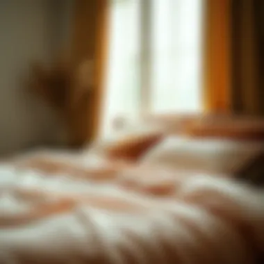 Well-organized care instructions for velvet plush bedding