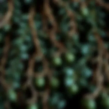 Close-up of artificial ivy strands showcasing intricate detailing and texture