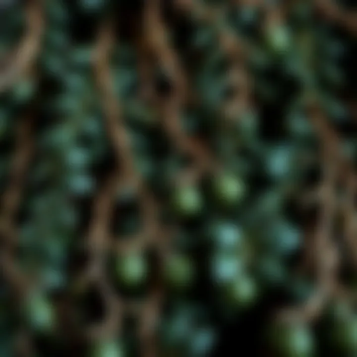 Close-up of artificial ivy strands showcasing intricate detailing and texture