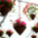 Aesthetic Appeal of Cone-Shaped Hanging Baskets Elegant cone-shaped hanging basket adorned with vibrant flowers