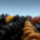 A variety of curly one piece hair extensions showcasing different textures