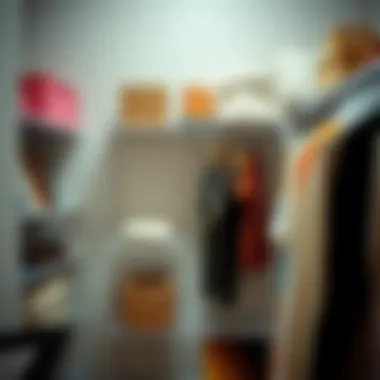 Notable Exploring Acrylic Closet Shelves: Functionality and Aesthetic
