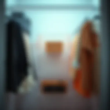 Exploring Acrylic Closet Shelves: Functionality and Aesthetic Summary