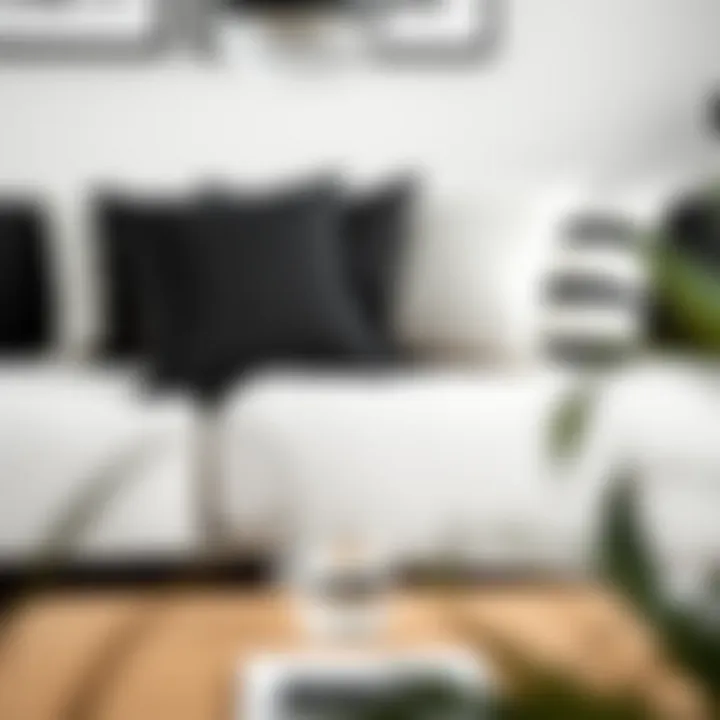 A stylish arrangement of black and white cushion covers on a contemporary sofa enhancing minimalist aesthetics.
