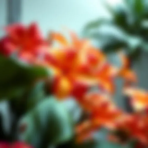 Vibrant Hawaiian silk flowers on display