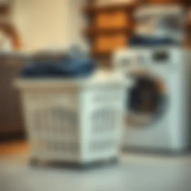 Functional features enhancing laundry organization