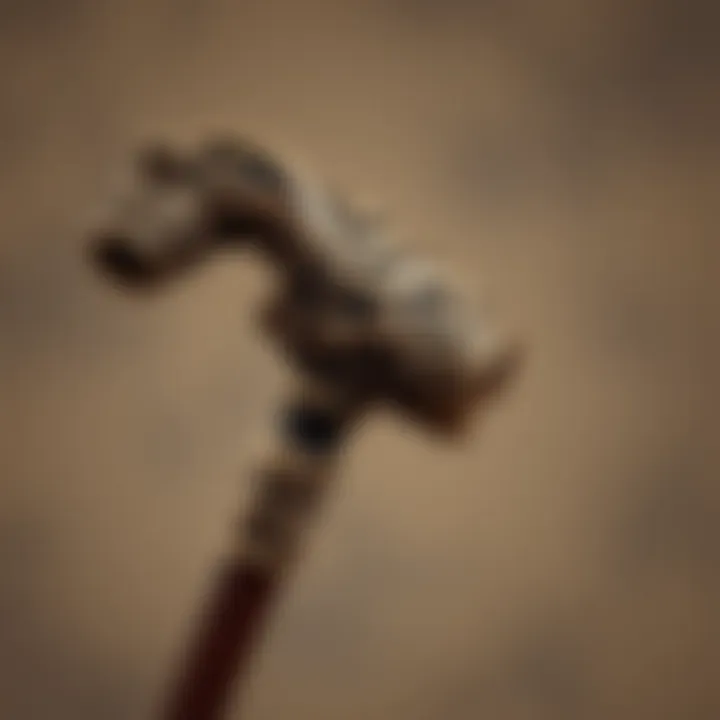 Artistry in Cane Design Close-up of a decorative cane featuring intricate handle design.