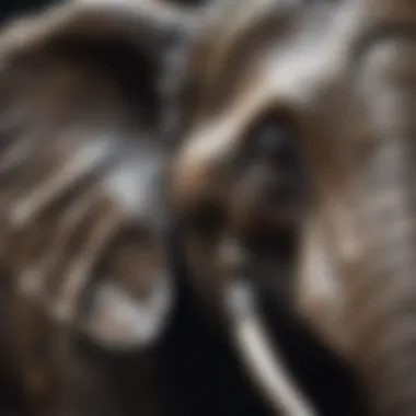 Close-up of the craftsmanship in a handcrafted metal elephant wall piece