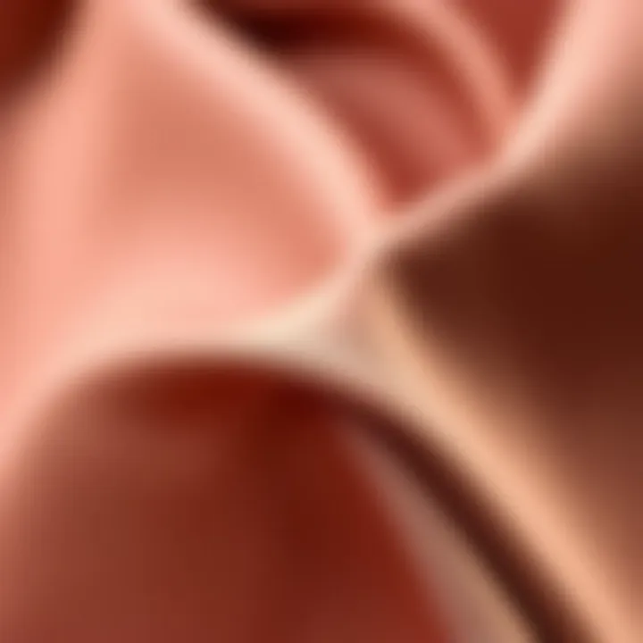 Historical timeline illustrating the evolution of satin twill in fashion.