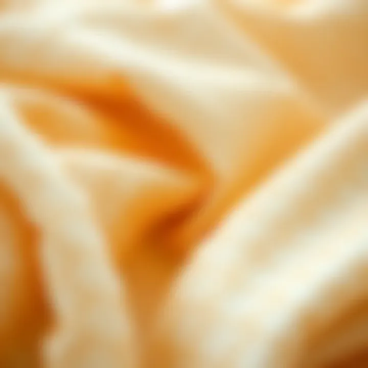 Luxurious fabric showcasing intricate textures