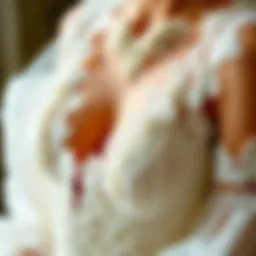 Elegant French romantic dress with intricate lace detailing