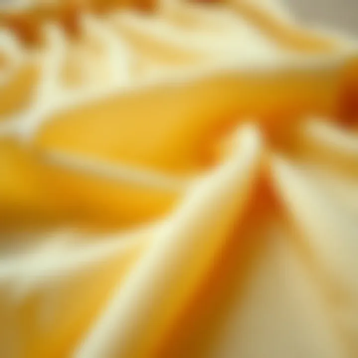 Close-up of luxurious fabric used in French romantic dresses