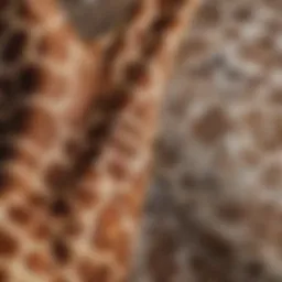 Close-up of intricate giraffe print fabric showcasing texture