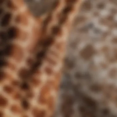 Close-up of intricate giraffe print fabric showcasing texture