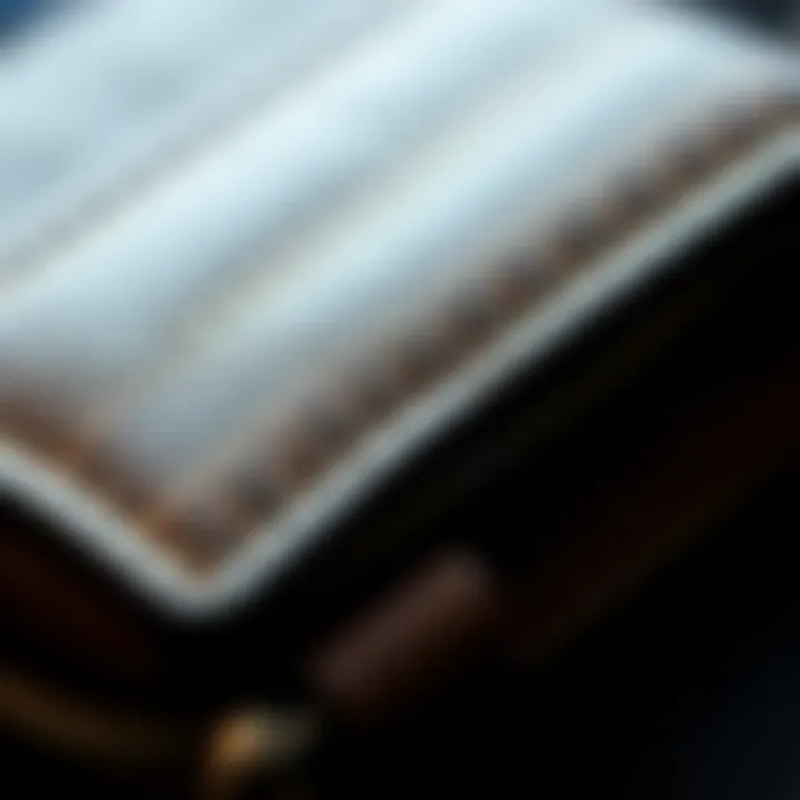 Close-up of wrist wallet pouch showcasing material texture