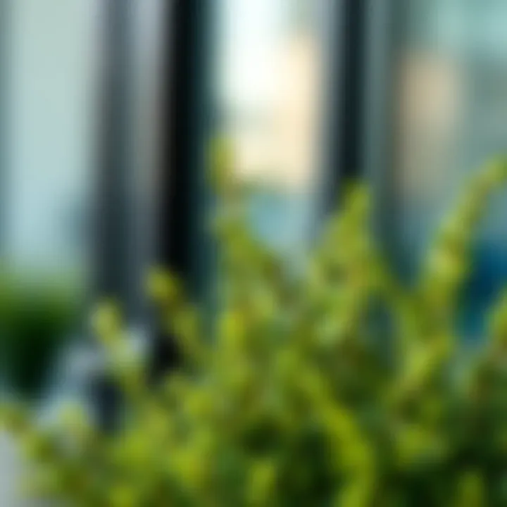 Close-up of artificial boxwood stems showcasing their realistic texture.