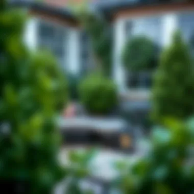 Outdoor garden featuring artificial boxwood stems as decorative elements.