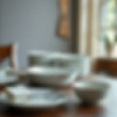 User-friendly care tips for maintaining dinnerware longevity