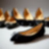 Elegant wide width ballet flats displayed in an artistic arrangement