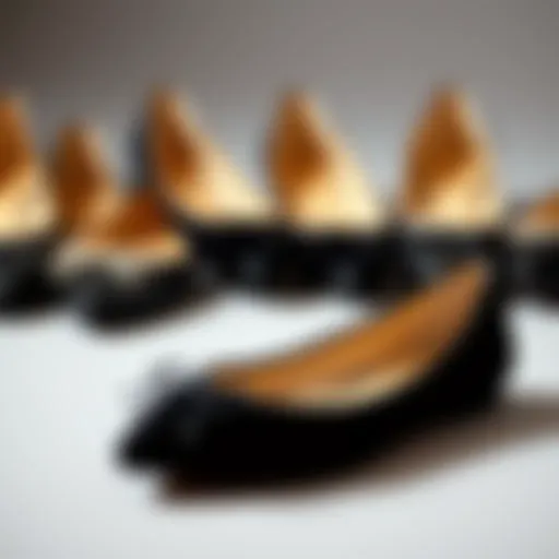 Elegant wide width ballet flats displayed in an artistic arrangement