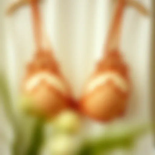 The Evolution of Lingerie: A Historical Perspective Historical evolution of lingerie through the ages