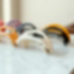 Elegant display of a French concord curved hair clip in various colors