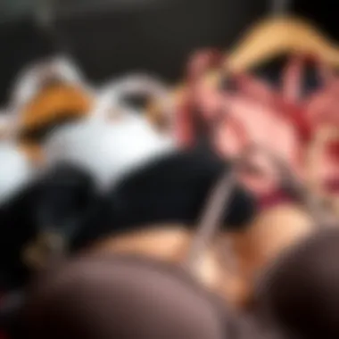 Variety of no slip bra strap styles arranged aesthetically