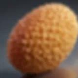 A close-up view of a non-latex makeup sponge showcasing its texture and design.