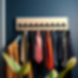 Elegant wall mount tie rack displaying various ties in an organized fashion