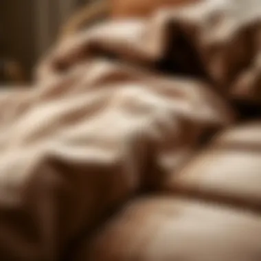 Close-up of the soft texture of velvet fabric in comforter