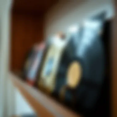 Elegant Display of Faux Vinyl Records Close-up of elegantly displayed faux vinyl records on a shelf