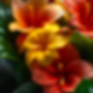 Intricate Textures of Faux Hawaiian Flowers Close-up of faux Hawaiian flowers showcasing intricate details and textures