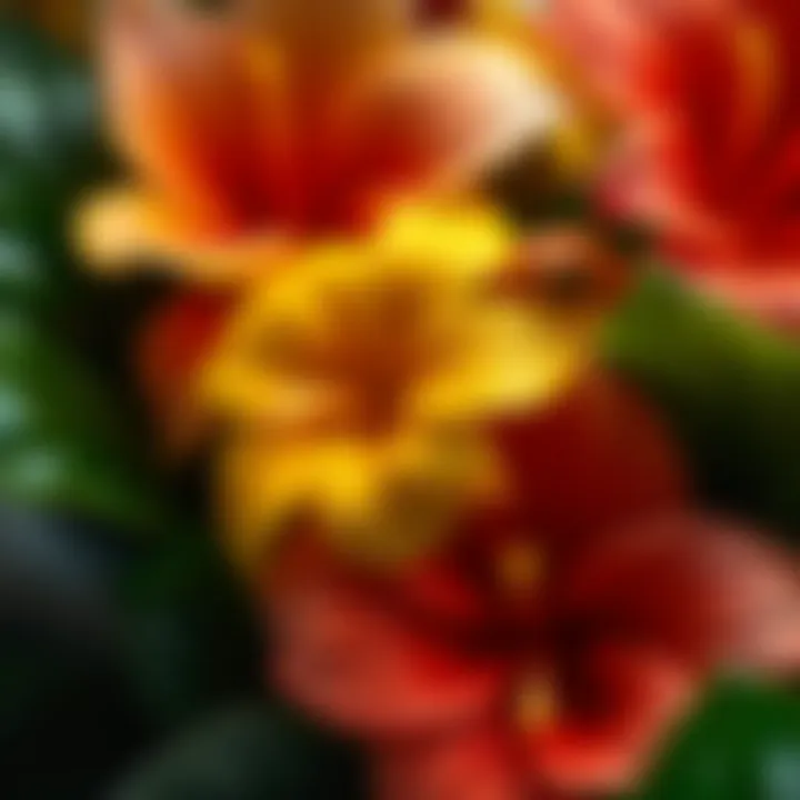 Intricate Textures of Faux Hawaiian Flowers Close-up of faux Hawaiian flowers showcasing intricate details and textures