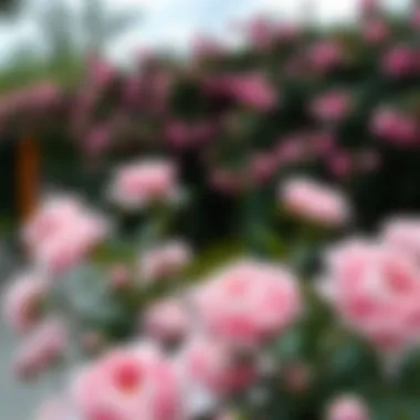 Aesthetic display of peony faux flowers in a serene outdoor environment