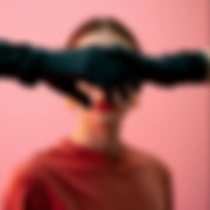 A color palette inspired by velvet fabrics and glove styles