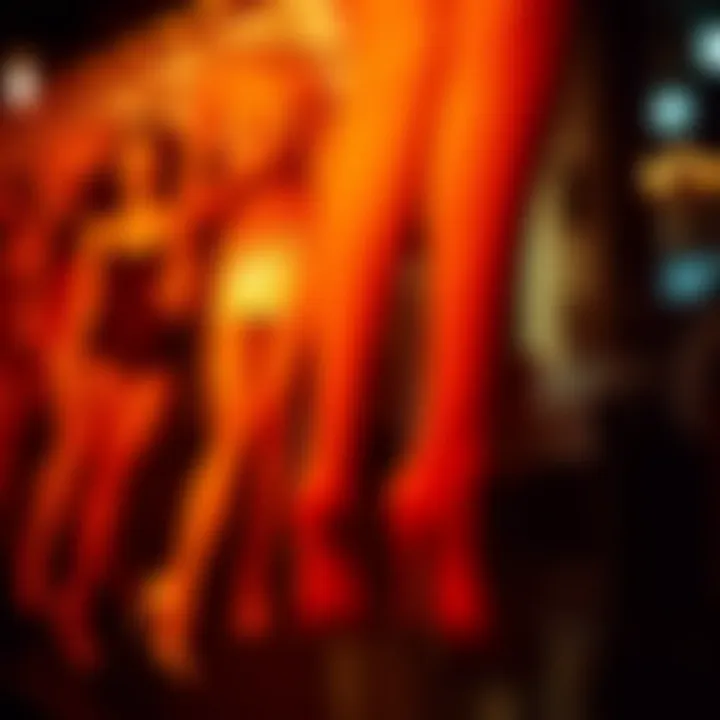 The Evolution of Pantyhose Through Time Historical illustration of pantyhose evolution