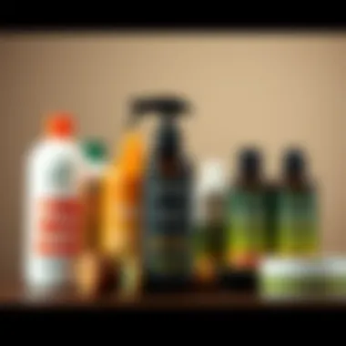 A variety of hair products recommended for maintaining afro twists