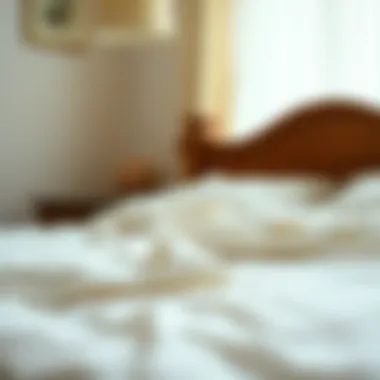 Illustration of proper maintenance for plastic bed sheet covers