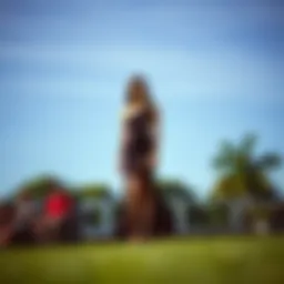 The Cutout Split Hem Dress: Fashion Meets Functionality Introduction