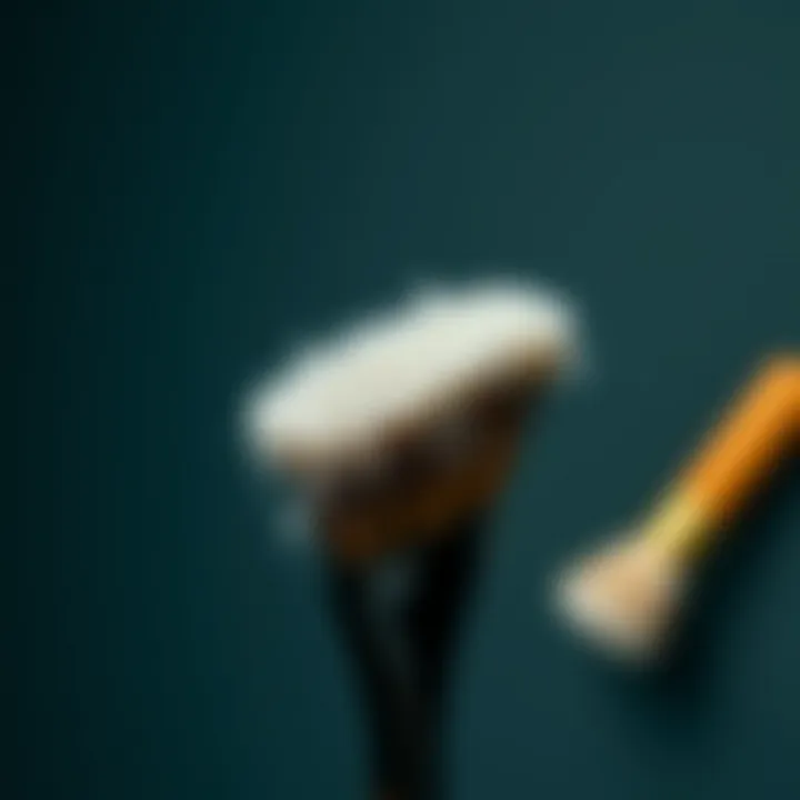 Notable The Essential Guide to Dust Removing Brushes: A Comprehensive Exploration