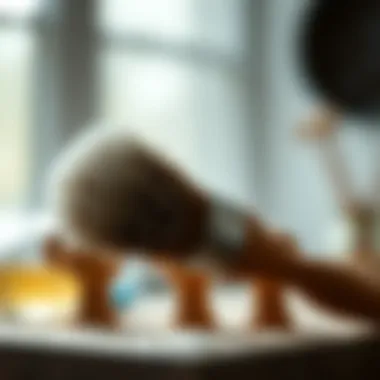 The Essential Guide to Dust Removing Brushes: A Comprehensive Exploration Summary