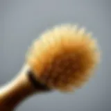 Close-up of a boar bristle hair brush showcasing its bristles and craftsmanship