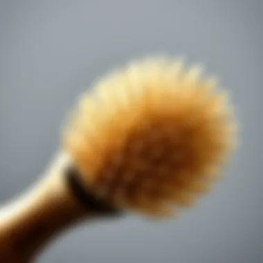 The Artistry of Boar Bristle Brushes Close-up of a boar bristle hair brush showcasing its bristles and craftsmanship