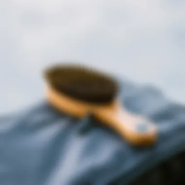 Travel-Friendly Grooming Essential A boar bristle brush resting on a travel bag highlighting its portability
