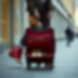 The Practical Elegance of Trolley Bags with Shoe Compartments Introduction