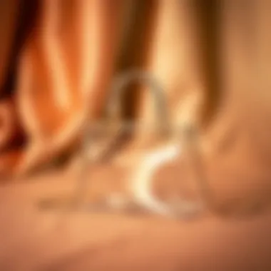 Stylish clear jewelry bags on a chic backdrop